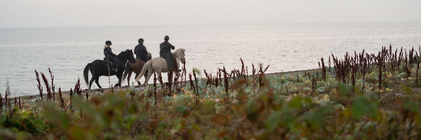 Tre ryttere ved vandkanten