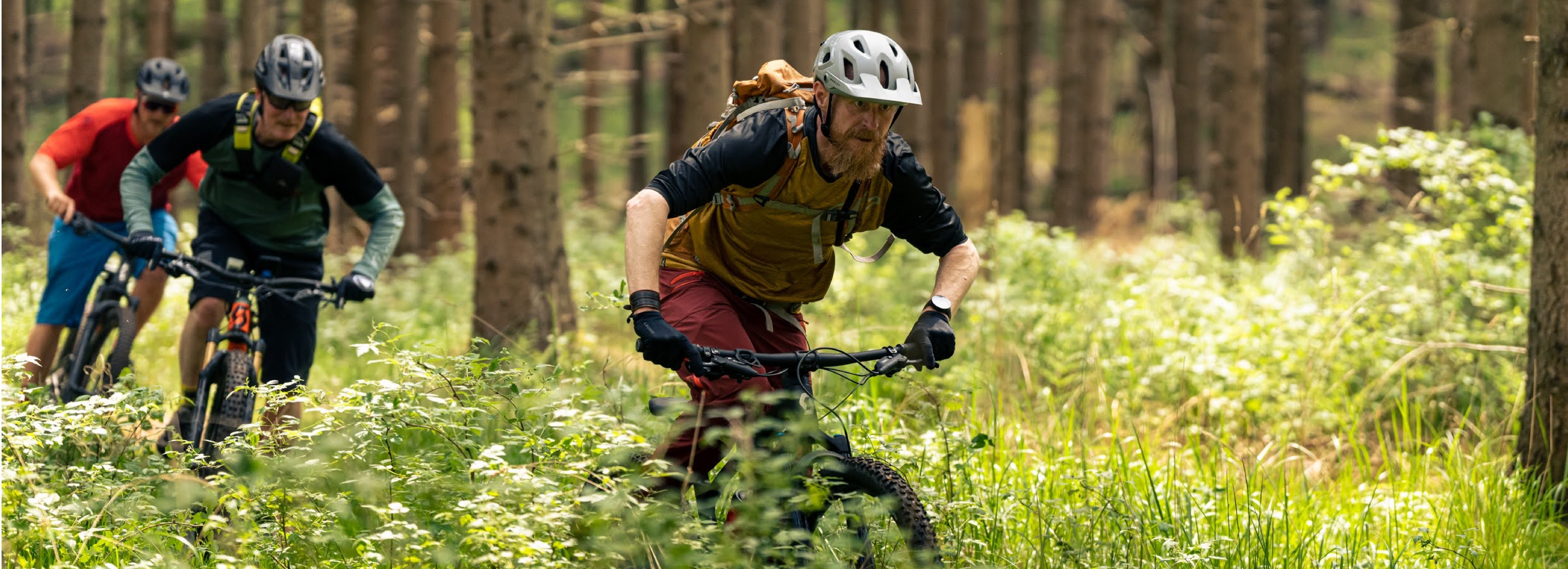 Tre motionscyklister i skovområde
