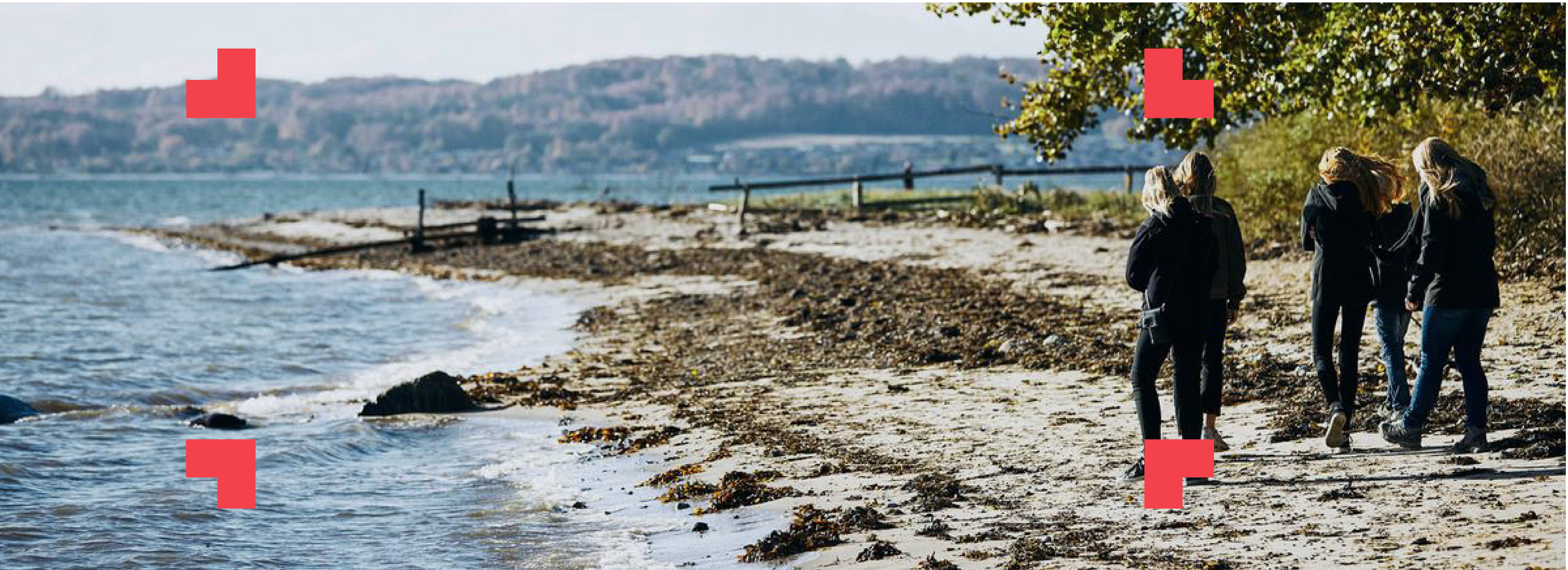 Gruppe, der går tur langs stranden
